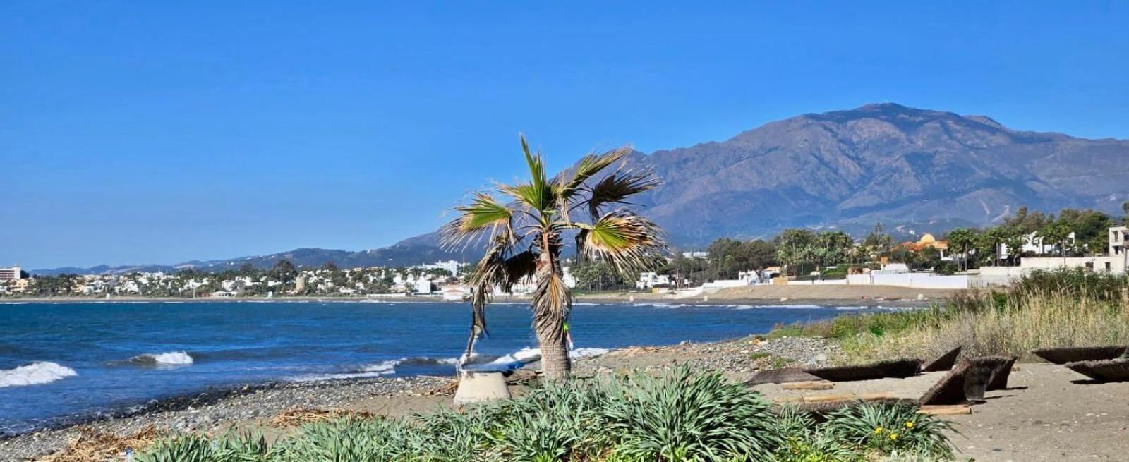 Waves & Pines El Paraiso, Benamara Estepona